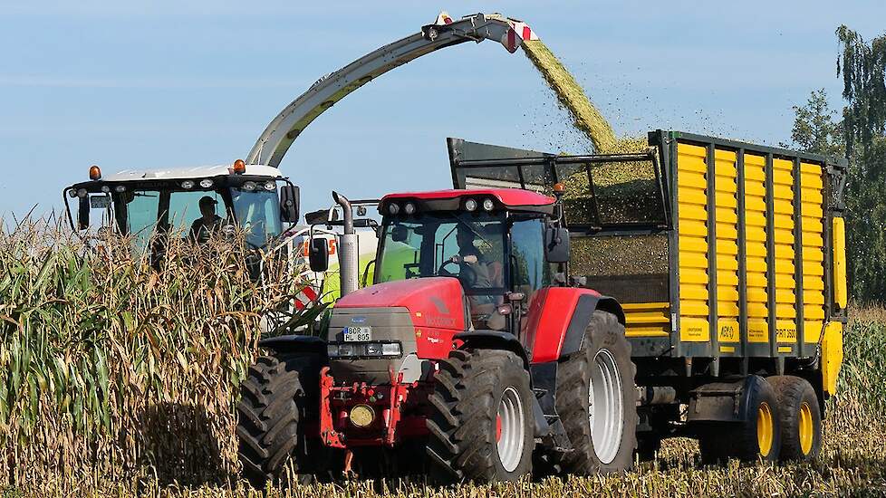 Maishäckseln 2019 - Claas-McCormick-John Deere - Mais hakselen - Maize silage - Kukurydzy - 2019