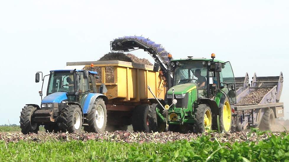 Double row onion loader from SU-Tech