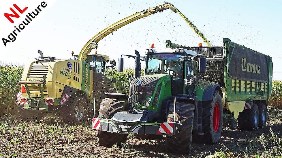 Mais hakselen 2019 ● Krone BiG X 770 + 12 rijer + Fendt 824 + Ginaf ● W. Arts B.V. + Kuenen.