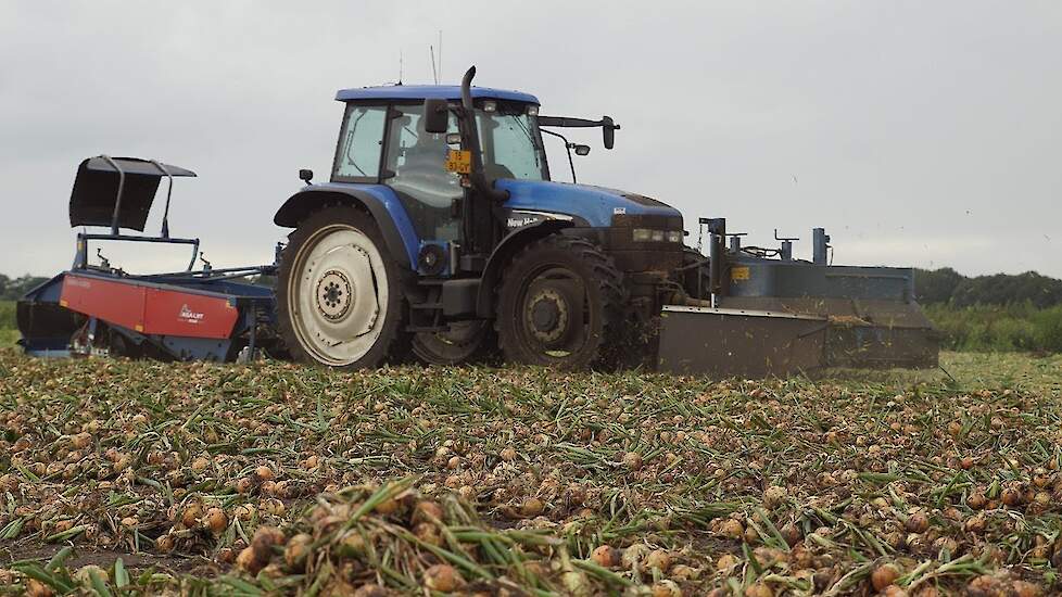 New Holland TM 120 Asa lift onions harvest