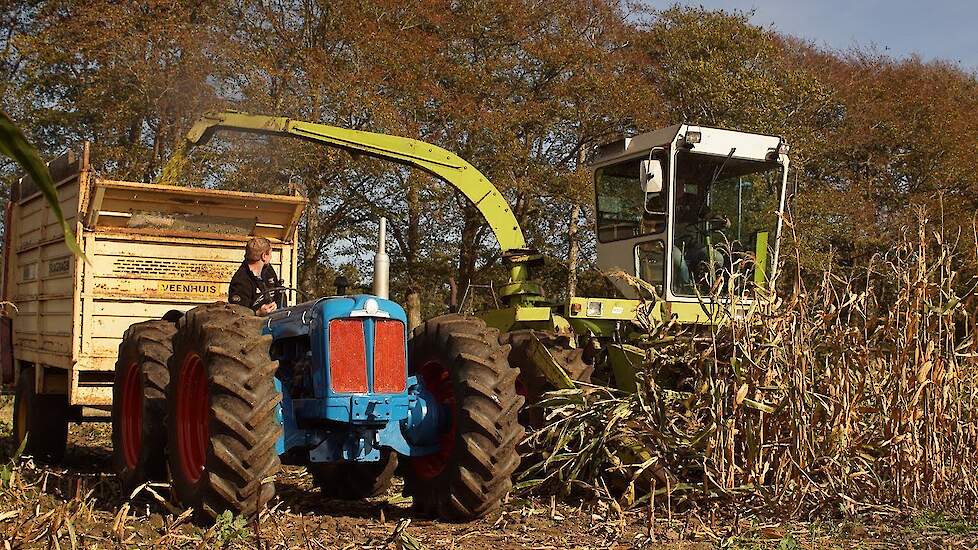 Claas Jaguar 80 SF Ford County Super 4 Oldtimer-hakseldag in Dalen