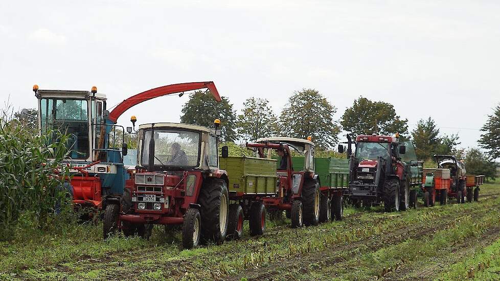 Nachbarn Tag im Mais Mengle Claas PZ International Krone