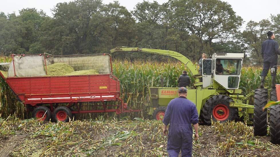 Claas Jaguar 80 SF perceel aan de gang maken in Dalen
