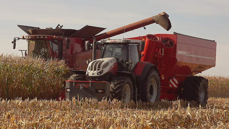 Corn harvest |Case IH AXIAL-FLOW 8230 | Steyr Terrus 6300 CVT | Horsch Titan 34 UW