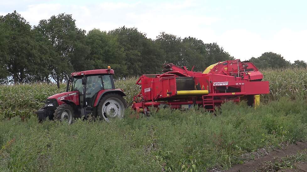 AARDAPPELEN ROOIEN MET EEN CASE CS 105 PRO GRIMME SE 75 - 30