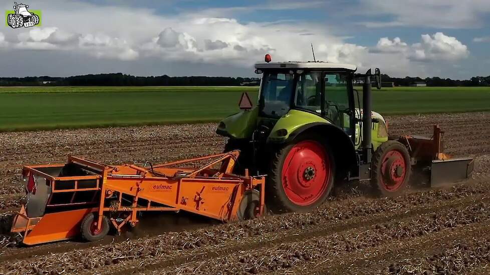Claas Arion 530 aan het uien rooien