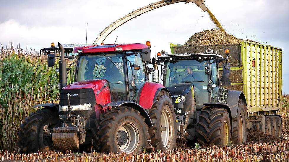Modderen in de mais - Schlamm beim maishäckseln - Claas Jaguar 960 - Pleizier & Timmer - Mud - Maize