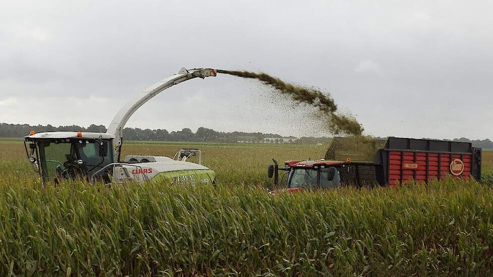 Claas Jaguar 940