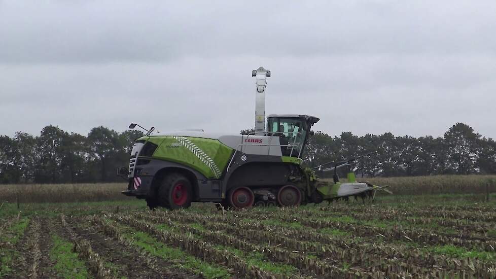 CLAAS JAGUAR 960 TERRA TRAC MAIS HAKSELEN