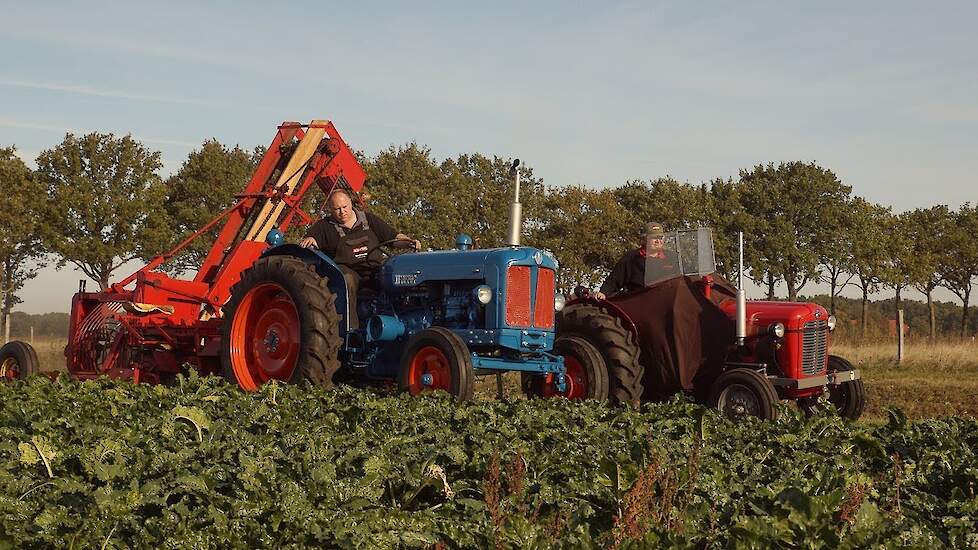 Stoll | Vicon | Schmotzer | BVl l Eenrijige suikerbietoogst met oldtimers sugar beet harvest