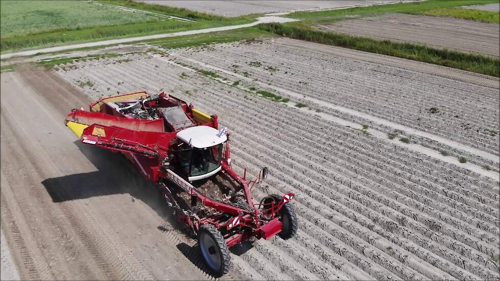 Grimme Varitron 470 potatoe harvest 2019