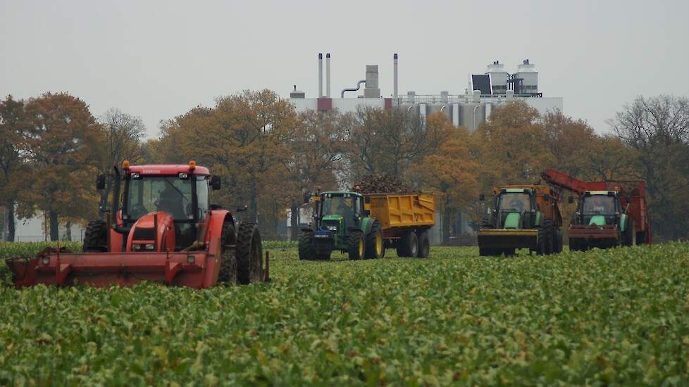 Twee fasen suikerbieten rooien Zetor Deutz Fahr en John Deere - Trekkerweb