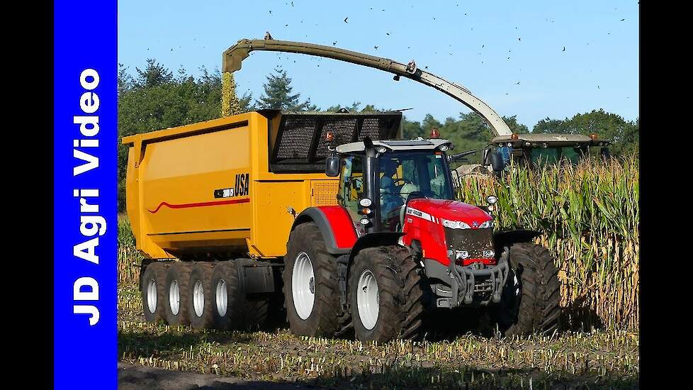 Maishakselen 2019 | Claas Jaguar 970 | 5x MF | van Bakel | Vrebamelkvee Vredepeel | Harvesting maize