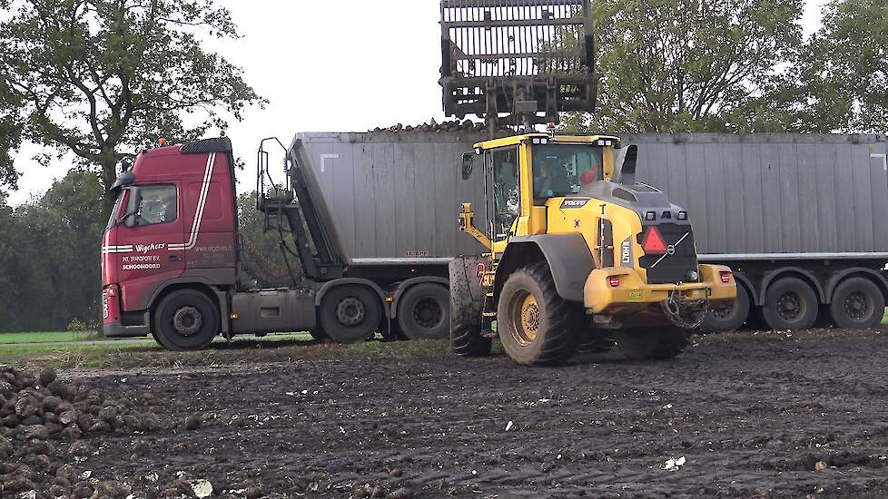 SUIKER BIETEN LADEN MET EEN VOLVO L 70 H WIGCHERS