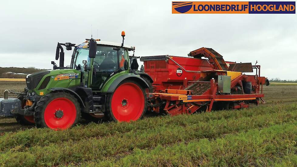 Wortelen rooien 2019/2020 | Fendt 313 | Fendt 720 + Beco