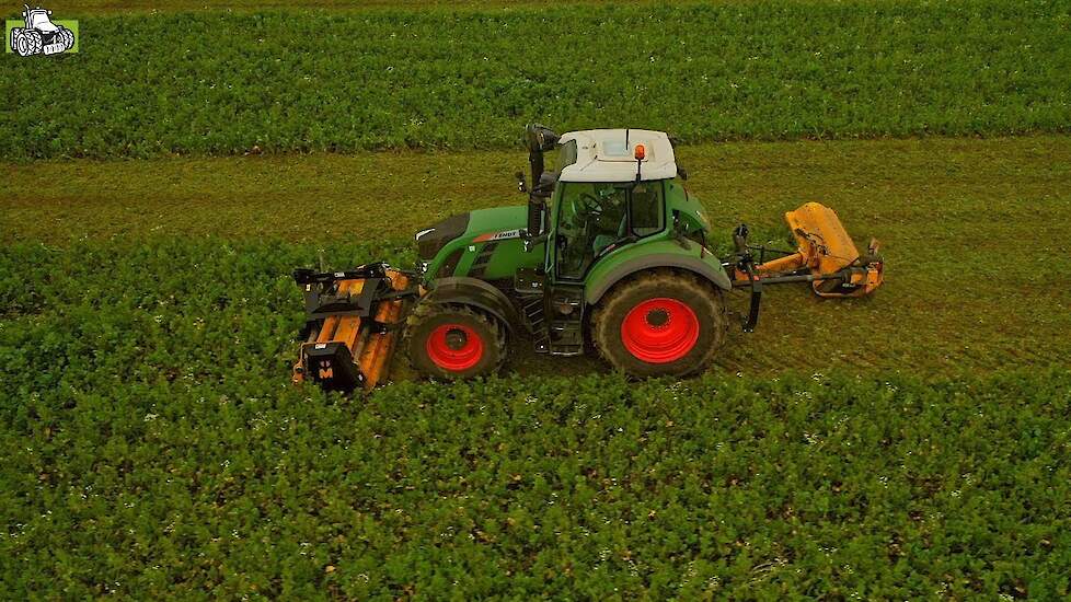 Groenbemester klepelen met Fendt 718 Vario en Müthing voor- en achtermaaier - Trekkerweb