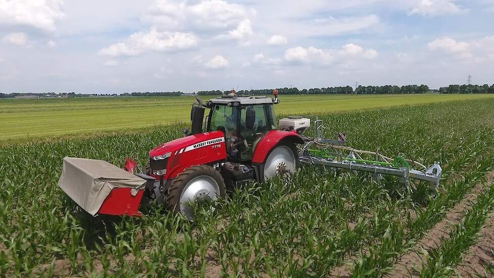 Zocon Greenseeder in de mais