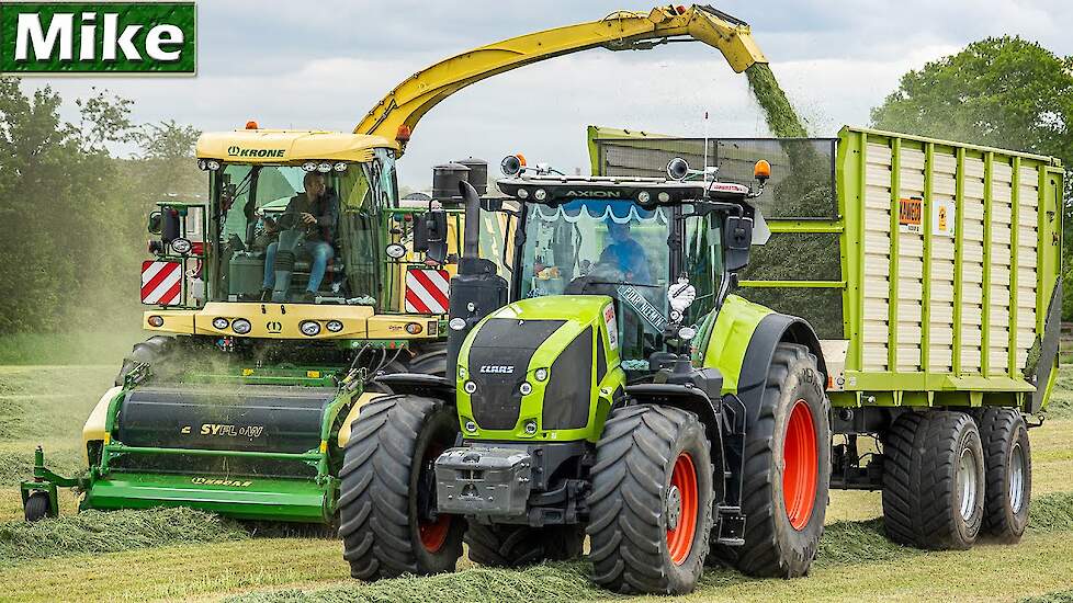 2020 | Grass Silage with Krone Big X / Claas Axion 920 | Nikkels B.V. | Gras hakselen.