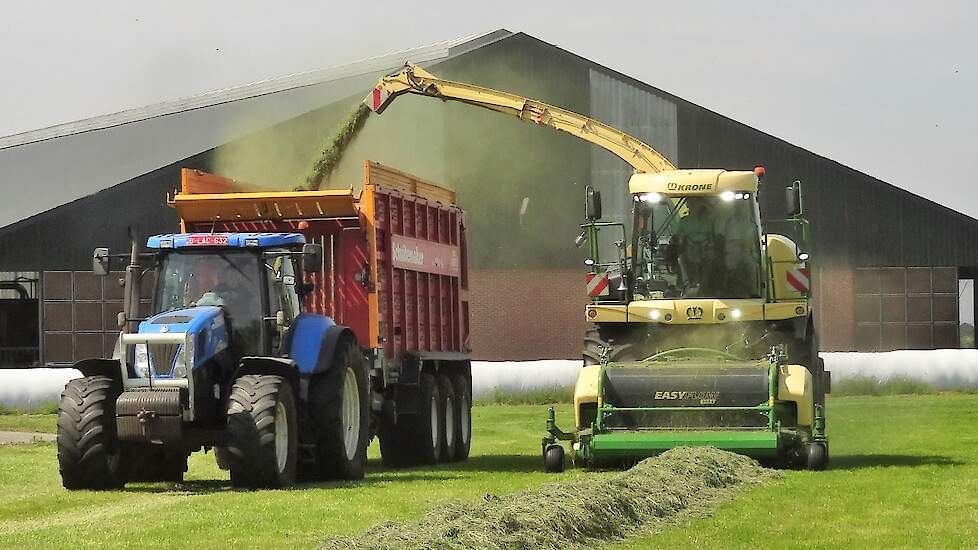 Nieuwe Krone BiG X 630 van loonbedrijf Braspenning uit Wortel (BE) in de 1e snede