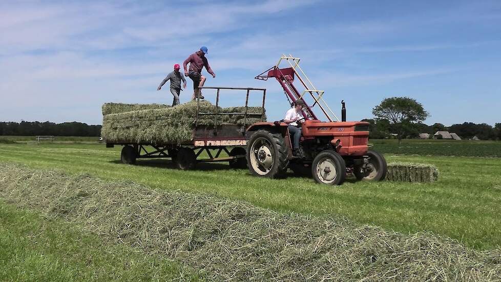 HOOI PERSEN EN LADEN INTERNATIONAL CASE 585 XL  NEW HOLLAND 386 FIAT 500