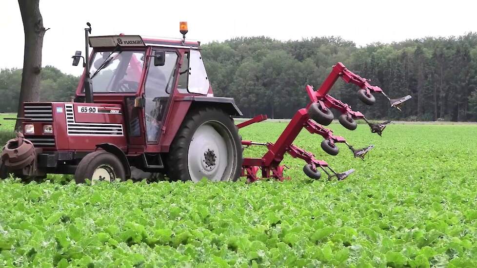 SUIKER BIETEN SCHOFFELEN / AANAARDEN FIAT 65-90