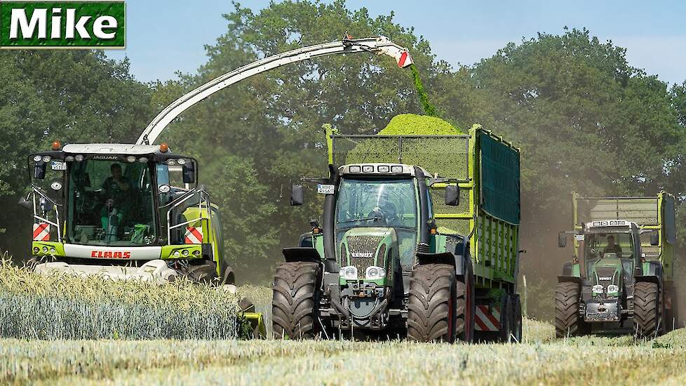 2020 | GPS Häckseln mit 5 Fendt Tractors | Lu Steenweg | Claas Jaguar 950 | Whole Crop Silage.