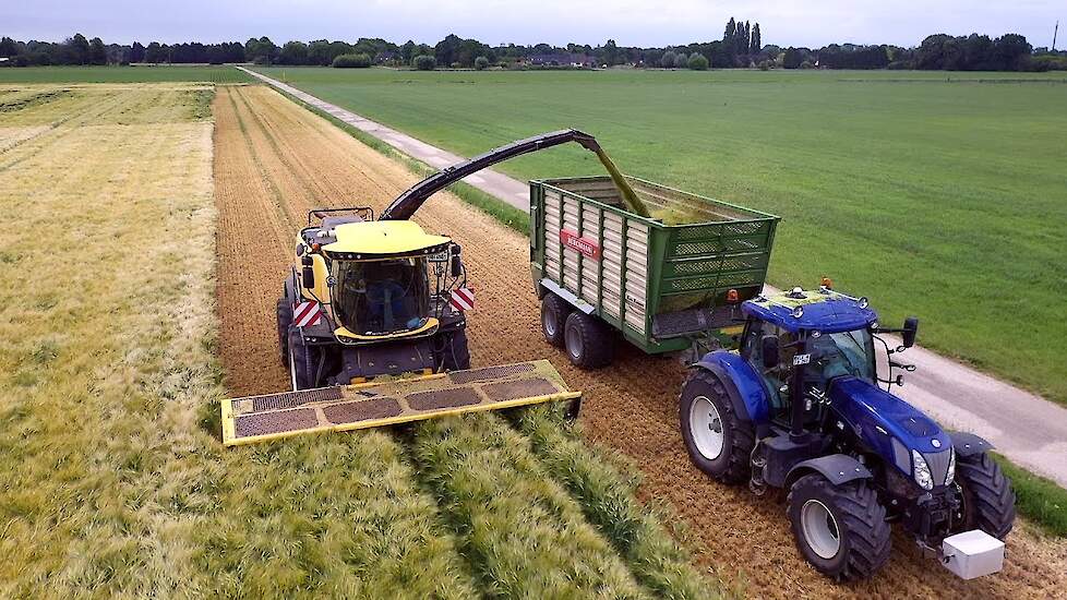 New Holland Heavy Duty FR650 aan het Gps hakselen