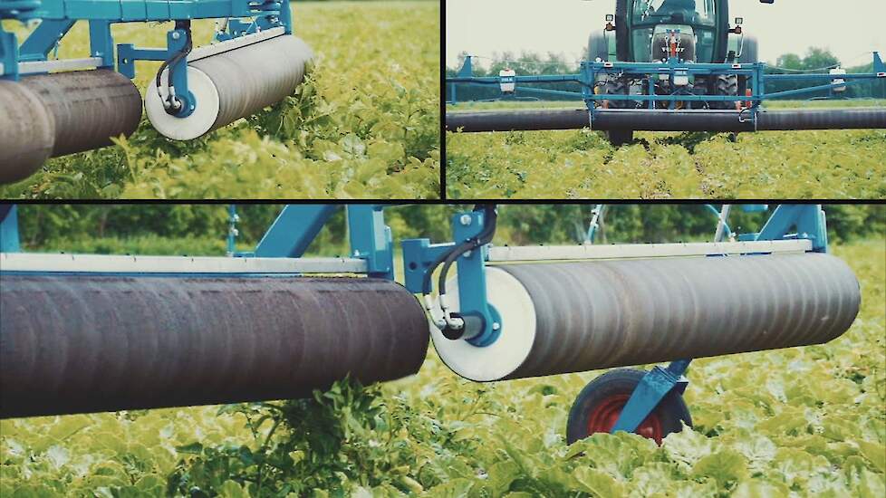 Reken af met onkruid met de Zibo roterende onkruidstrijker