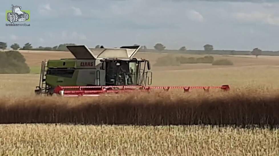 Claas Lexion 8700 en Claas Lexion 780 in het koolzaad