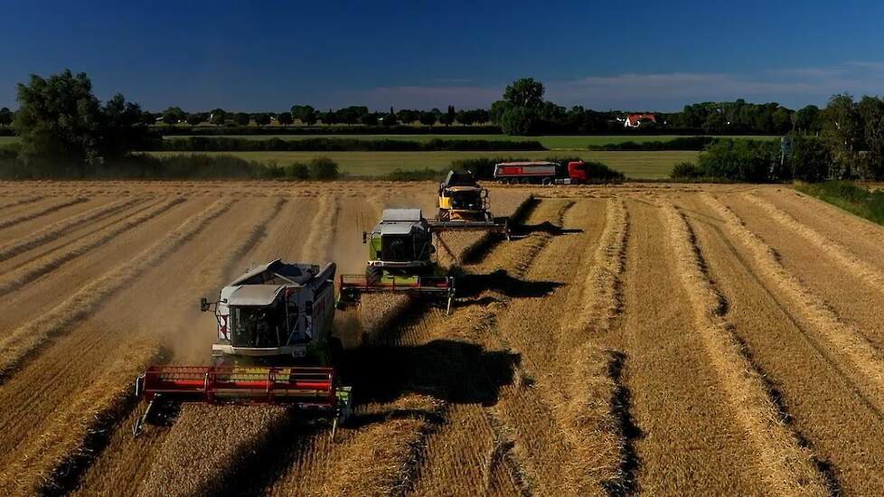Claas Dominator 108, Lexion 440 New Holland CX Harvest 2020