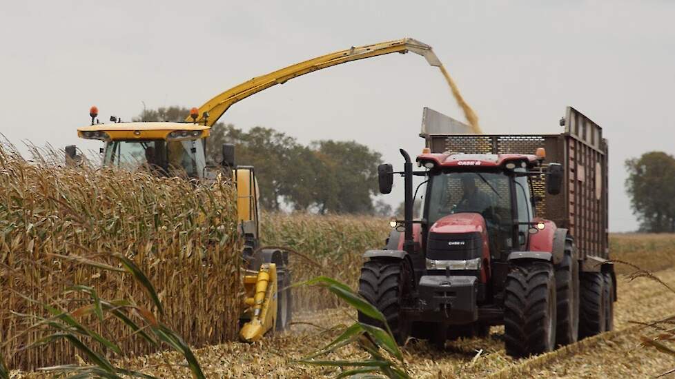 MKS maïskolvenschroot hakselen New Holland FR9060  Trekkerweb