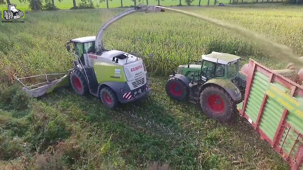 Biosnijmaïs hakselen door Terhuf Agrarservice met Claas Jaguar Trekkerweb