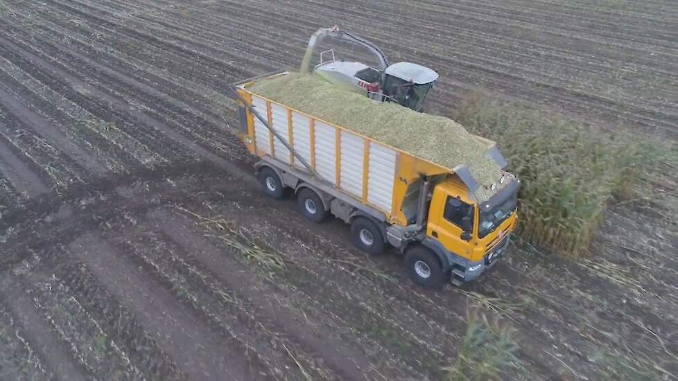 JWD Markvoort in de mais met Tatra. Agritruck  Machinesinbeeld Trekkerweb
