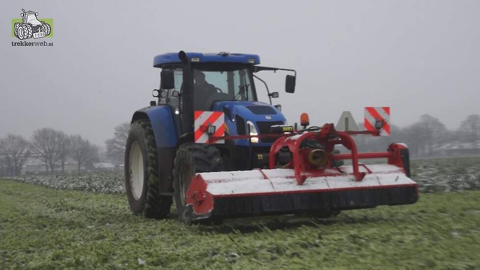 Bladrammenas klepelen over de vorst en sneeuw