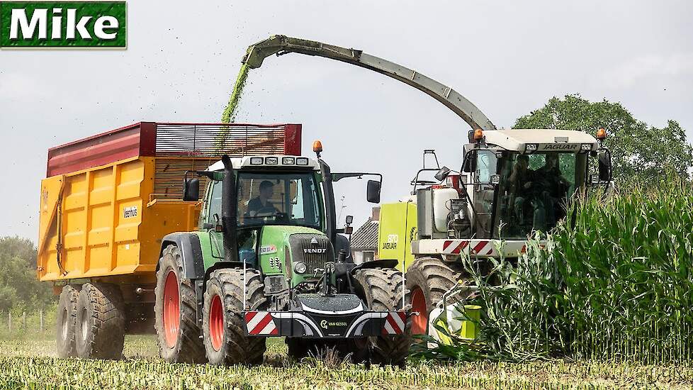 2020 | Early Maize Harvest | Claas Jaguar | Fendt Tractors | Van Gessel.