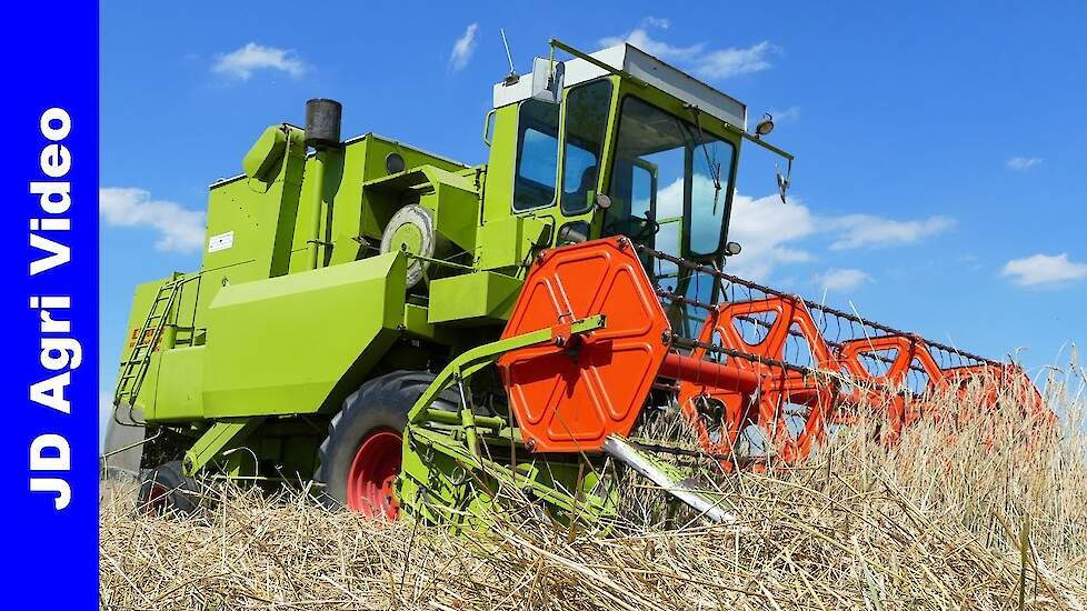 Claas Dominator 85 | Triticale dorsen 2020 | Grain harvest | Getreideernte | v/d  Hardenberg Elspeet