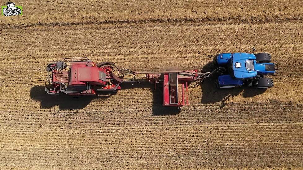 Bale Baron 21 pakjes in een groot pak