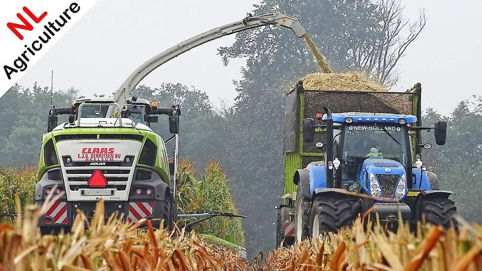 Mais hakselen 2020 ● NEW Claas Jaguar 940 ● Fendt & New Holland ● E.J.G. Gerritsen ● Heelsum.