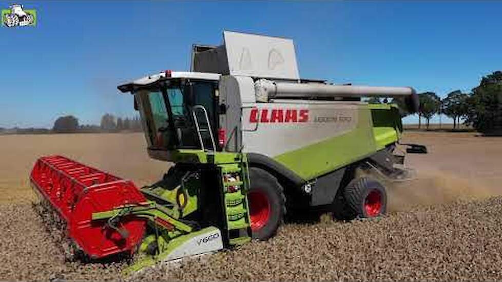 Claas Lexion 570 in de wintertarwe