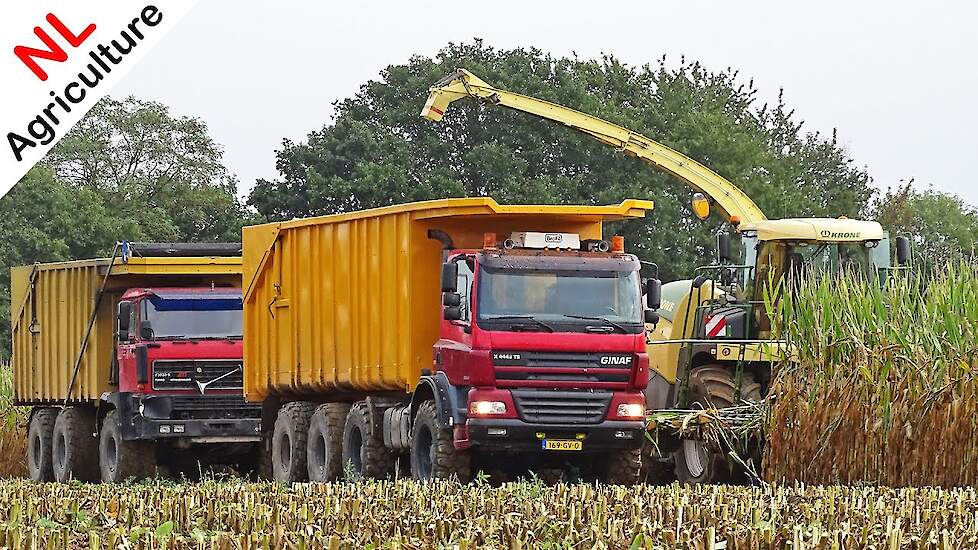 Mais hakselen 2020 ● Krone BiG X 580 + Ginaf Trucks ● Groesbeek.