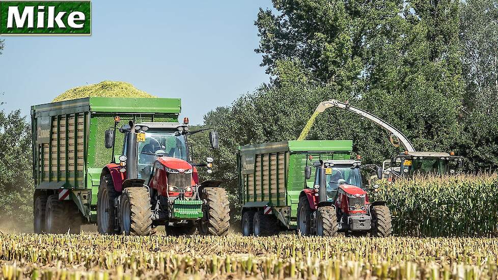 Mais hakselen 2020 | 2x Massey Ferguson 7720S | Claas Jaguar 950.