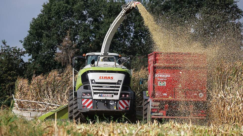 Mais Silage 2020 - Claas Jaguar 980 - V12 sound - Agrar Service Terhuf - NRW - Maize harvest