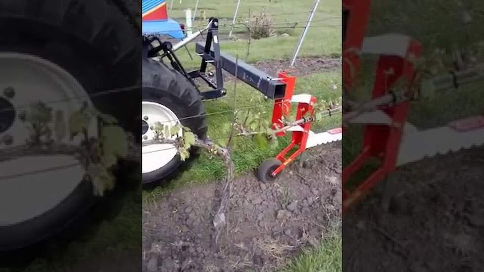 Onkruidverwijdering zonder gebruik van chemie
