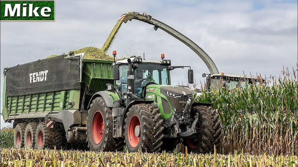 Mais XXL 2020 | Claas Jaguar 990 | Fendt 942 - Fendt Tigo | Mais H&auml;ckseln.