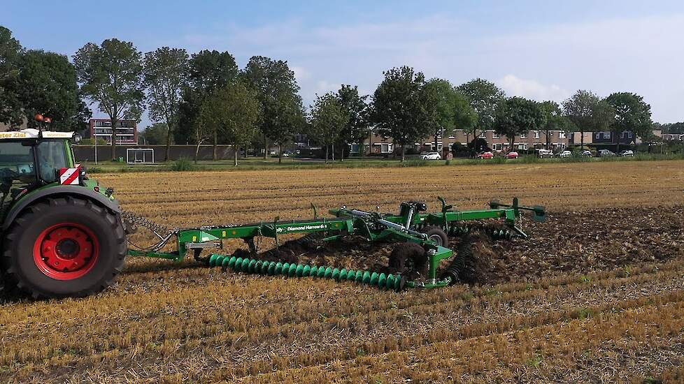 Kelly Diamond Harrow (Ketting Eg)