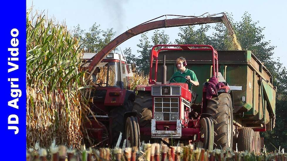 Maishakselen 2020 | International 745XL + 744 | Fendt 308 LS | Krol Heeswijk-Dinther | Maize harvest