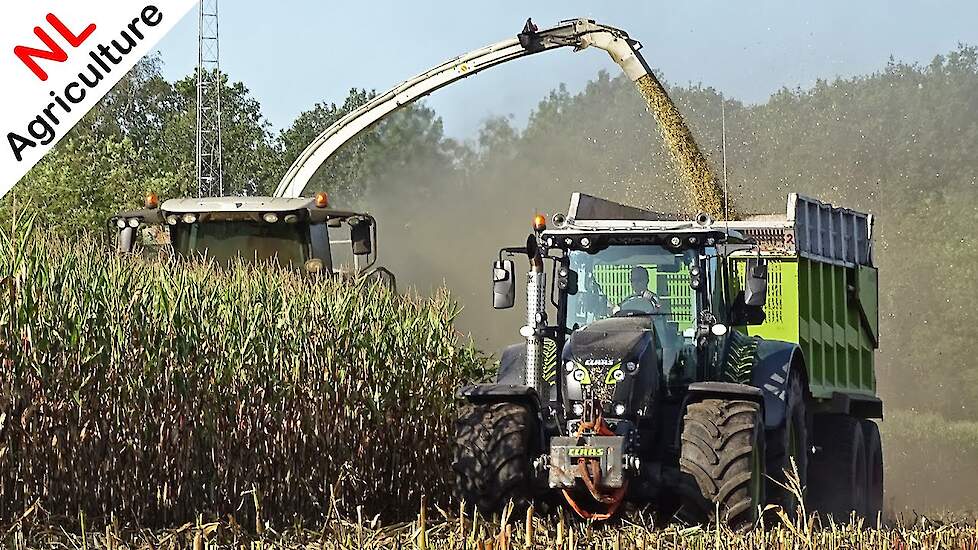 Mais hakselen 2020 ● Claas Jaguar 965 ● Claas Axion 850 Black Edition ● Ginaf ● Pleizier & Timmer.