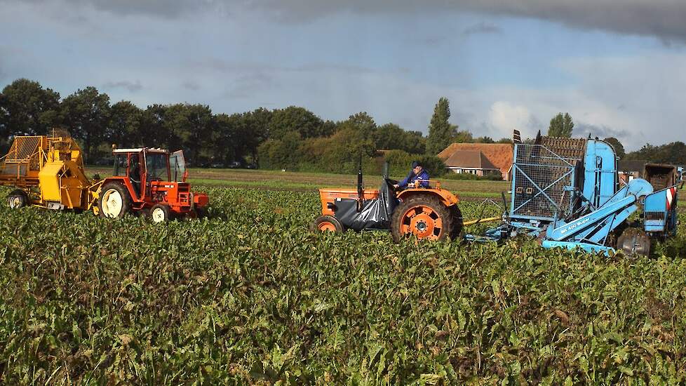 Oldtimer bietenrooien Harpel Stoll- Kleine- Schmotzer- Climax- Fiat- Ford