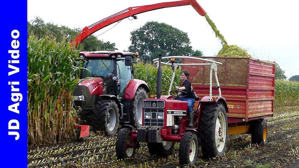 Maishakselen 2020 | International 633 + 845Xl | Case Maxxum 125 | Busweiler Nunspeet | Maize harvest