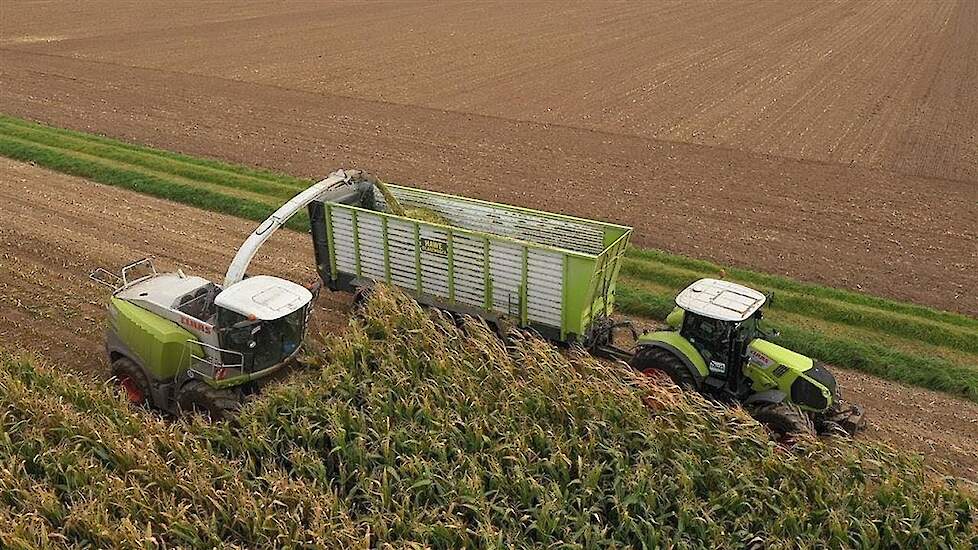 Claas Jaguar 960 en Claas Axion 870 met Kaweco in de mais